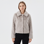 Light Gray