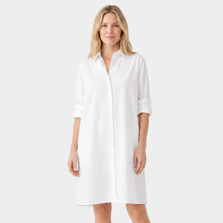 Women's Shirt Dress Colour Block Long Sleeve Collared A Line Midi