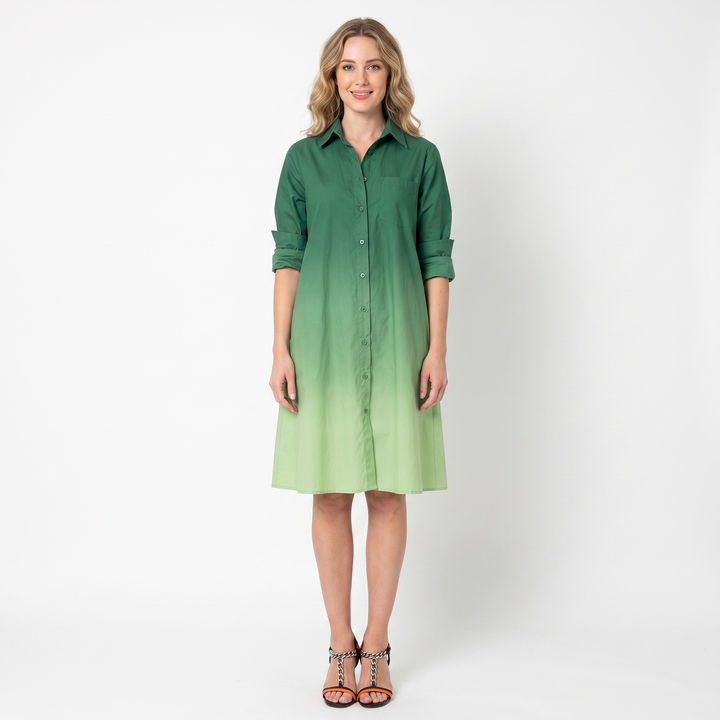 Women's Shirt Dress Colour Block Long Sleeve Collared A Line Midi
