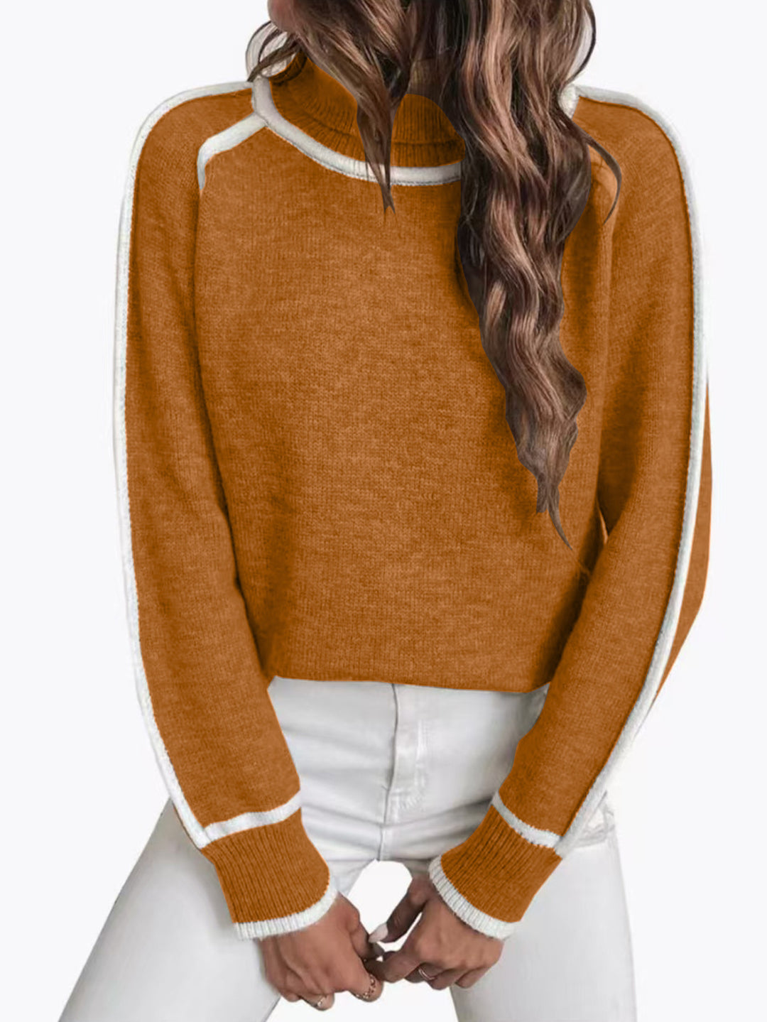 Women'S Long-Sleeved Turtleneck Top